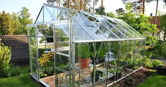 Advantages Of Polycarbonate Greenhouses