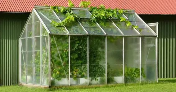 Setting Up Your Polycarbonate Greenhouse